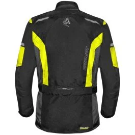 king-moto202605312326081815627