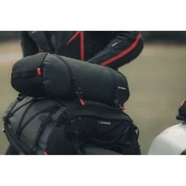 king-moto202606010109161829186