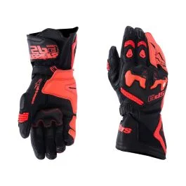 king-moto202606010825511878708
