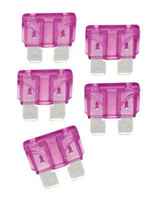 ofc-shop202606010351381850182